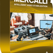 proDAD Mercalli V6 SAL.png