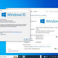 Windows 10 Pro 22H2 19045 5555 sc.png