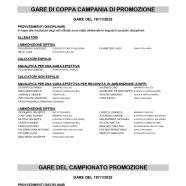 CU62-2022-2023-del-24.11.2022-11-17_page-0004.jpg