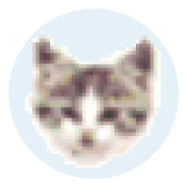 EF File Catalog.png