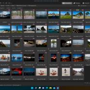 ACDSee Photo Studio Ultimate screen.jpg