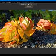 GRFX Studio Pro sc.jpg