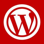 WordPress  From Zero to Expert Level.jpg