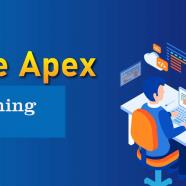 Oracle APEX Professional.jpg