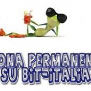 Geko vacanza.jpg