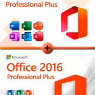 Microsoft Office Professional Plus 2016-2024.png