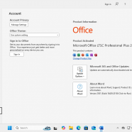 Office LTSC 2024 v2501 Build.png