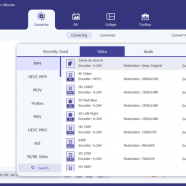 FoneLab Video Converter screen.png