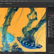ACDSee Gemstone Photo Editor sc.jpg