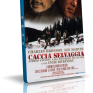 caccia.png