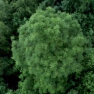 vlcsnap-2020-05-14-20h17m15s654.png