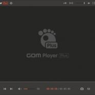 GOM Player Plus screen.jpg