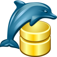 MS SQL Maestro.png