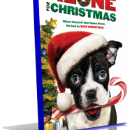aloneforchristmas.png