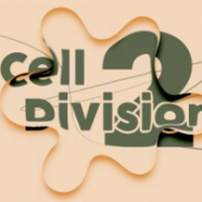 Cell Division 2.png