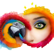 logo.png