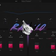 Aurora DSP Rhino.jpg