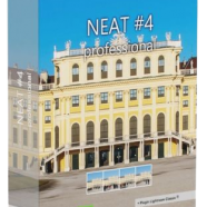 Franzis NEAT.png
