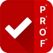 ProfExam Simulator.png