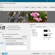 DisplayFusion Pro screen.png