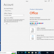Windows 10 Enterprise 22H2 office 21 screen.png