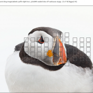 BreezeBrowser pro screen.png