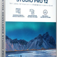 SILKYPIX Developer Studio Pro 12.png
