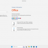 Windows 11 Pro 23H2 + office 2024 sc2.png