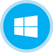 Windows 11 Pro Lite.png
