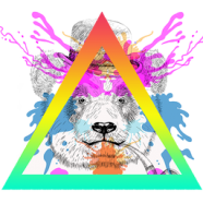 Cartoon Art Cartoonizer.png