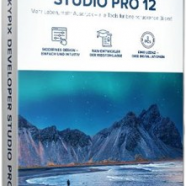 SILKYPIX Developer Studio Pro 12..png