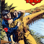 cover.png
