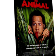 animal.png