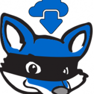 RedFox-AnyStream-logo.png
