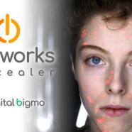 digitalbigmo - Skinworks.jpg