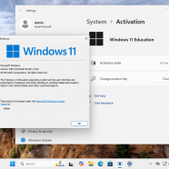 Windows 11 Aio 19in1.png