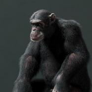 Master Cg Creature Creation.jpg