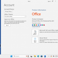 Windows 11 (No TPM Required) & Windows 10 AIO 32in1 With Office 2024 sc2.png