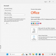 Windows 11 Aio 19in1 sc0.png