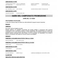 CU-121-2023-2024-del-18.04.2024-9-20_page-0004.jpg