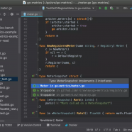 JetBrains GoLand screen.png