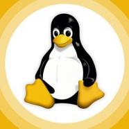 Mastering Linux The Comprehensive Guide To The Command Line.jpg