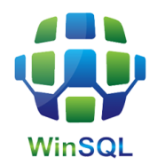 Synametrics Technologies WinSQ.png