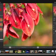 PT Photo Editor Pro sc.jpg
