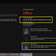 Microsoft Office Professional Plus 2024 VL v2505 Build 18821.20000 sc.png