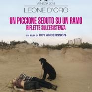 piccione_poster_hd.jpg
