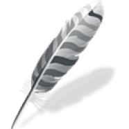 Wing Pro.png
