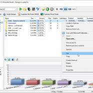 MindGems Folder Size Professional sc.jpg