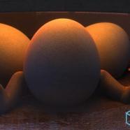 Complete 3D Animation Masterclass Create Animated Shorts.jpg